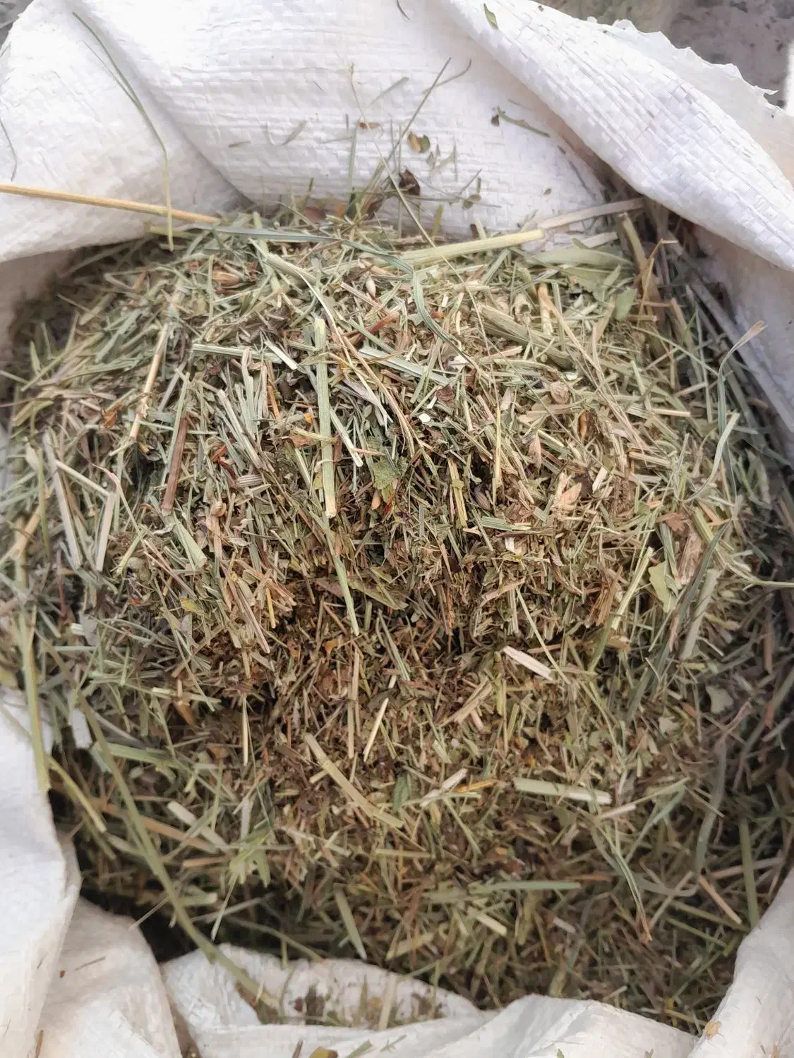 علف همه گیاه|لوازم جانبی حیوانات|دهگلان, |دیوار