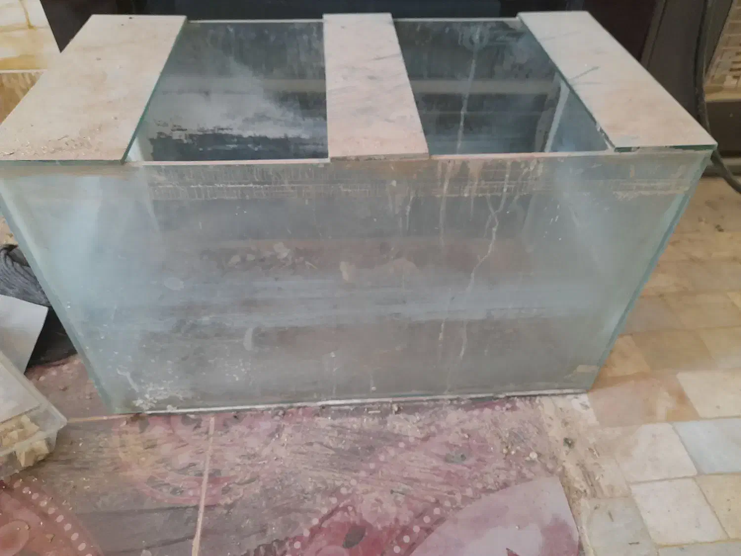 آکواریم سالم|ماهی|میبد, |دیوار