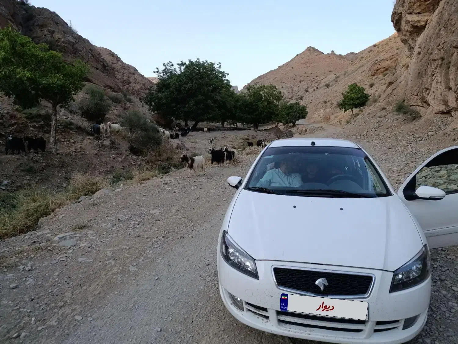 رانا پلاس آخر 1401 بدون رنگ تمیز|خودرو سواری و وانت|قم, بنیاد|دیوار