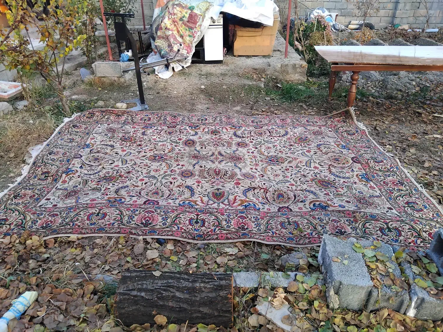 فرش|فرش|ارومیه, |دیوار