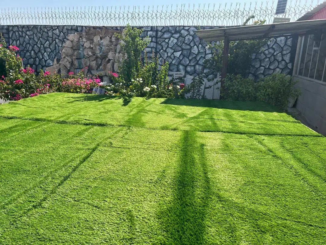 فروش باغ ۱۷۰۰ متری گورک|فروش دفتر صنعتی، کشاورزی، تجاری|بوشهر, |دیوار