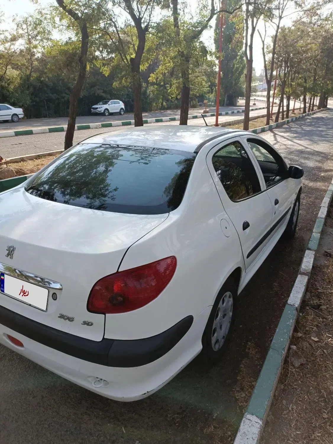 206sd .v8|خودرو سواری و وانت|زنجان, |دیوار