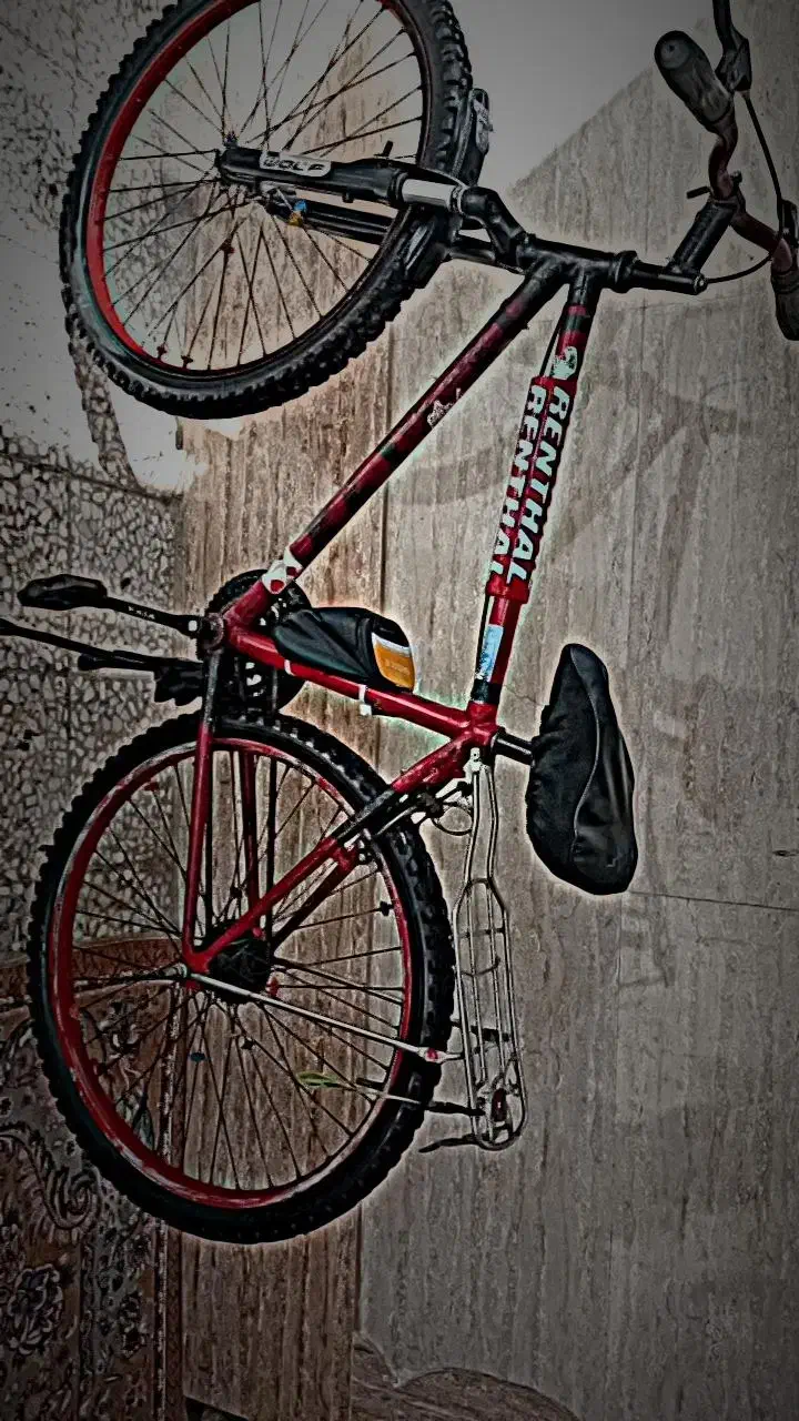 دوچرخه۲۶|دوچرخه، اسکیت، اسکوتر|بند زرک, |دیوار