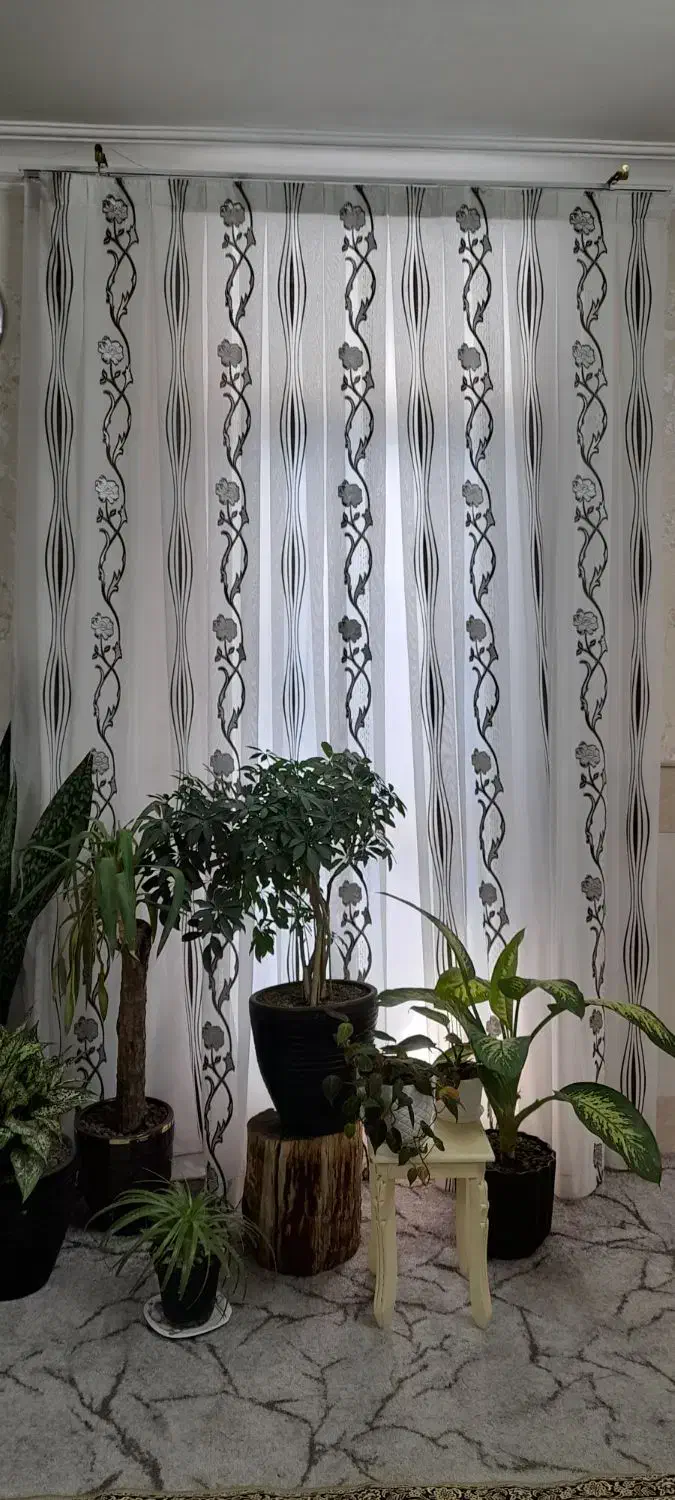 پرده سالن|پرده، رانر، رومیزی|قم, شهرک طالقانی|دیوار