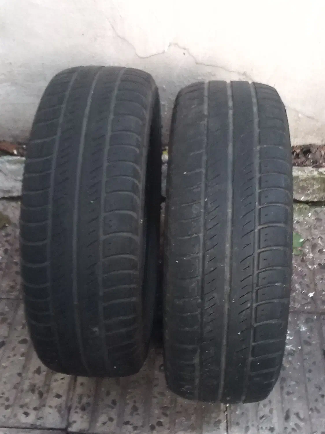 فروش لاستیک سایناs|قطعات یدکی و لوازم جانبی|رشت, منظریه|دیوار