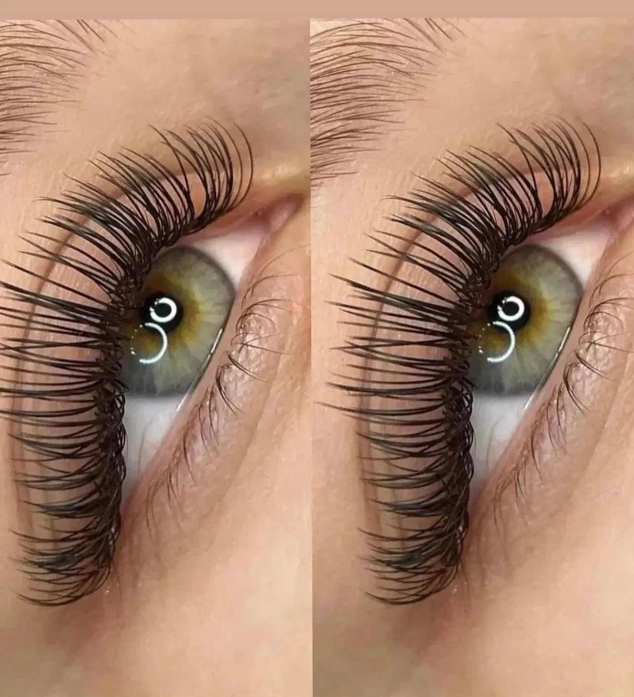 مژه|خدمات آرایشگری و زیبایی|رشت, کاکتوس|دیوار