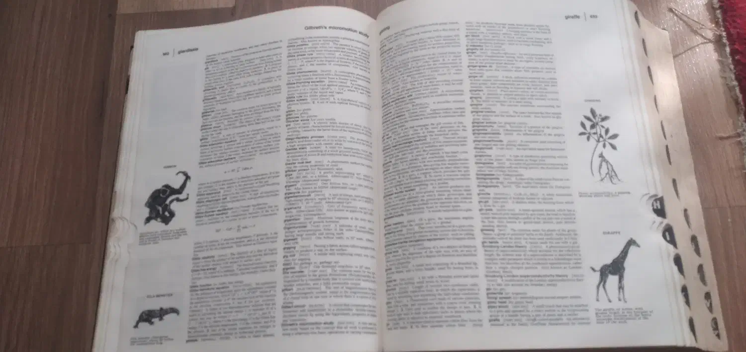 کتاب دیکشنری|کتاب و مجله آموزشی|فومن, |دیوار