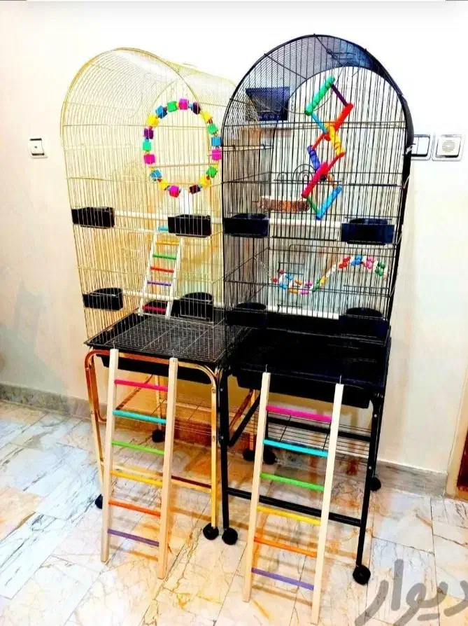 قفس عروس هلندی کوتوله گرینچیک و انواع پرندگان|لوازم جانبی حیوانات|اراک, |دیوار