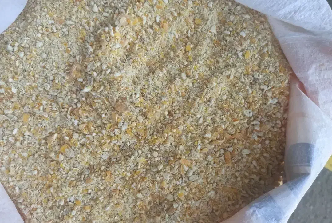 فروش جو ذرت اسیاب شده|لوازم جانبی حیوانات|ایوان, |دیوار