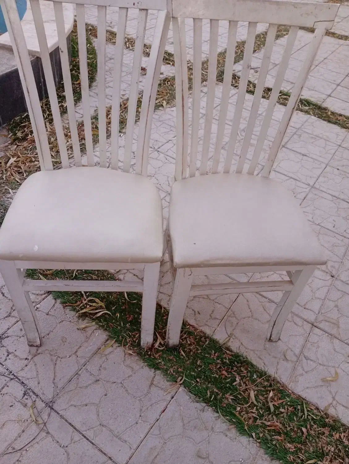 صندلی|میز و صندلی غذاخوری|قروه, |دیوار