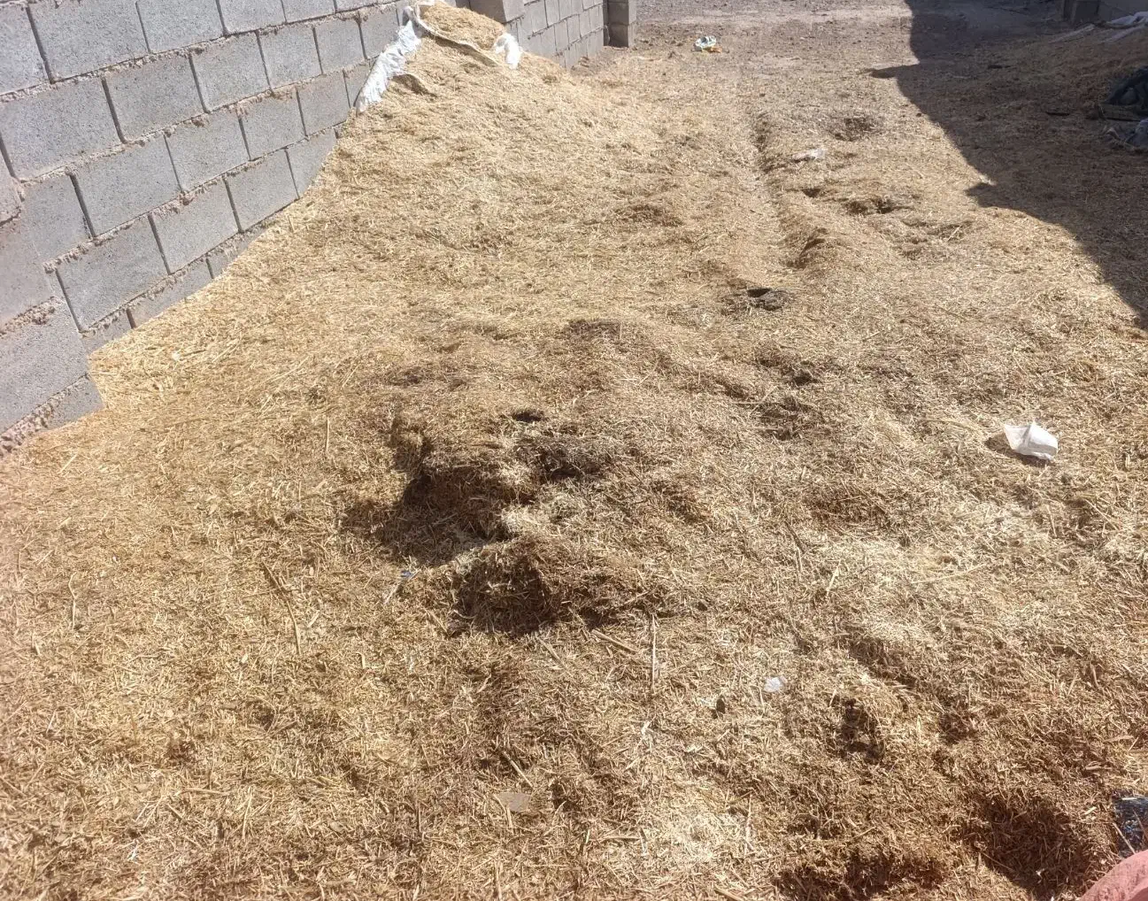 کاه سفید|لوازم جانبی حیوانات|آباده, |دیوار