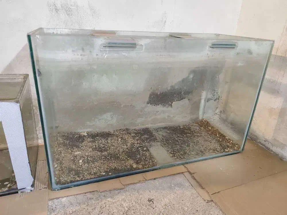 تعدادی آکواریوم|ماهیگیری|کرج, گوهردشت|دیوار