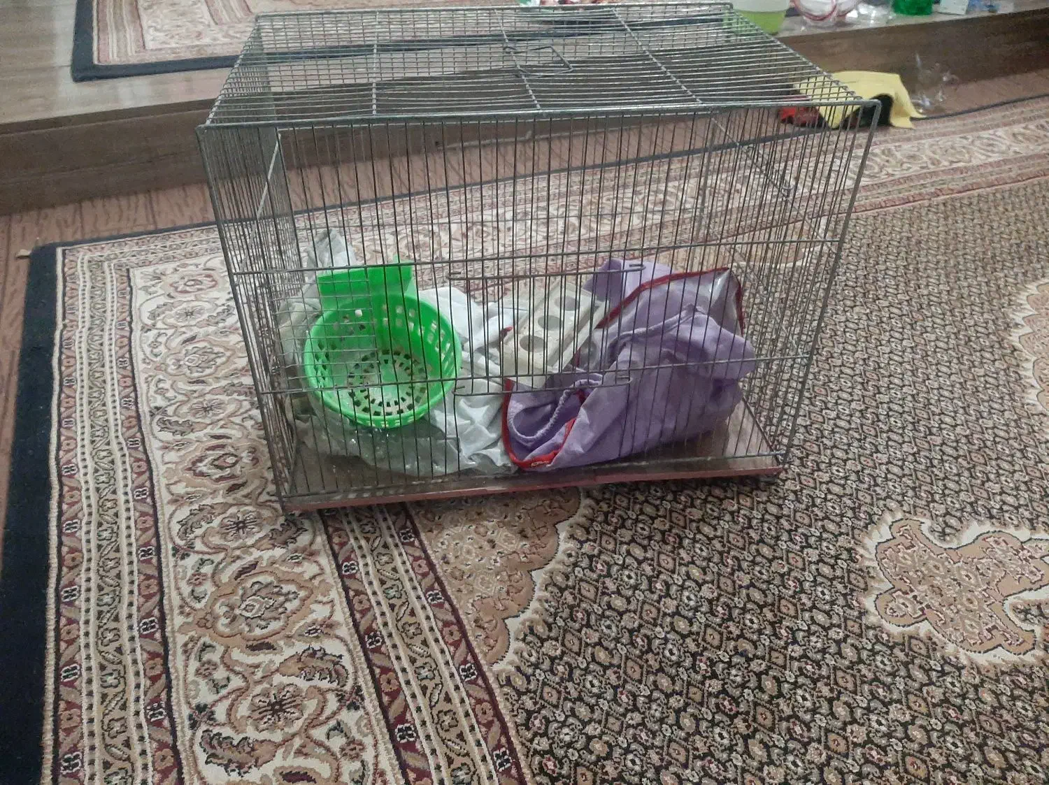 قفس پرنده|لوازم جانبی حیوانات|اردبیل, |دیوار