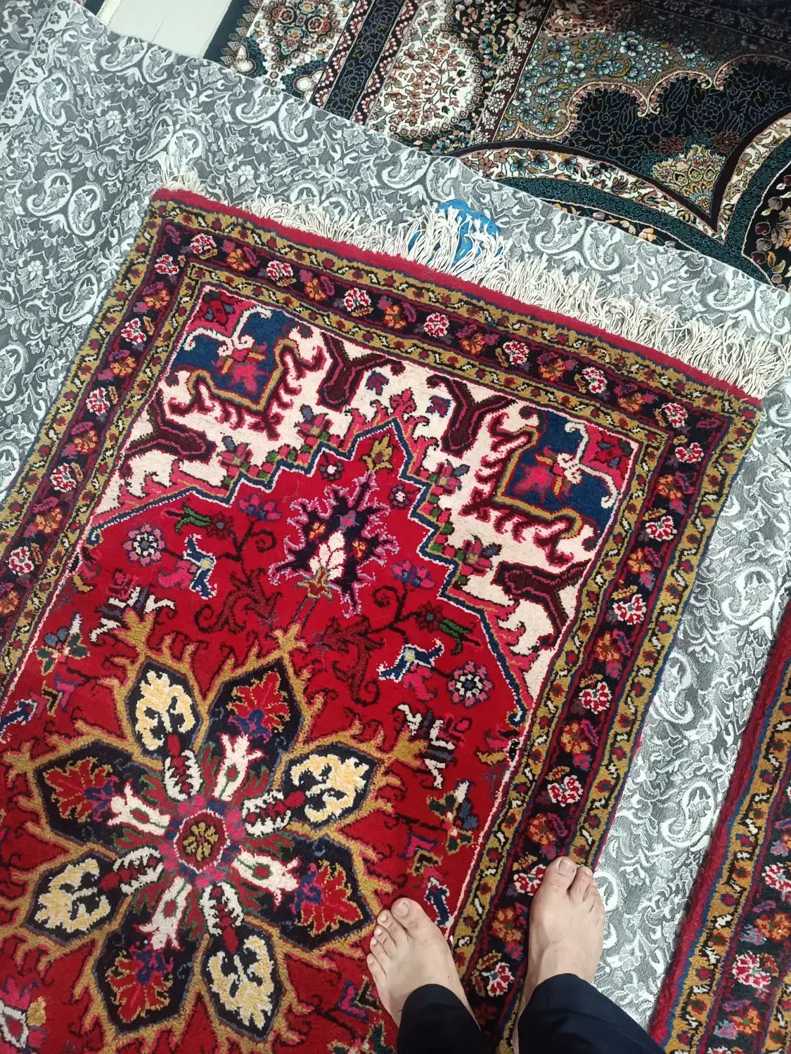 فرش دستبافت کناره هریز دستبافت|فرش|اردبیل, |دیوار