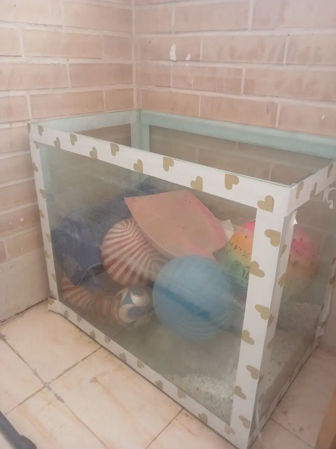 شیشه آکواریوم سالم|ماهی|یزد, |دیوار