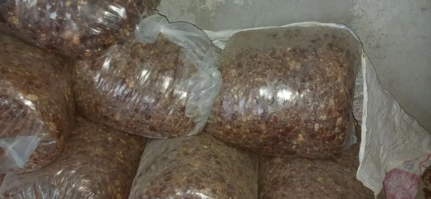 فروش خرما  2تن بار جدید|خوردنی و آشامیدنی|زرین دشت (فارس), |دیوار