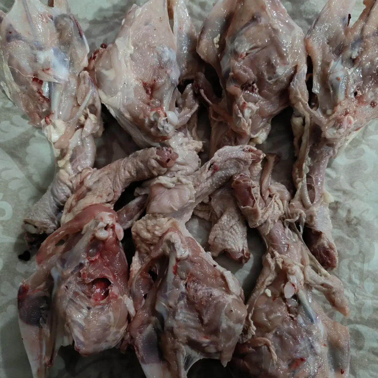 گردن|خدمات پذیرایی، مراسم|پاکدشت, پاکدشت (مامازند)|دیوار