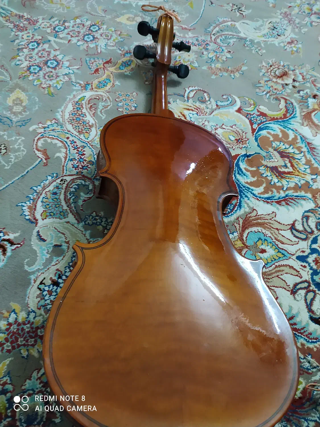 ویالن اصل hofnar|ویولن|کازرون, |دیوار