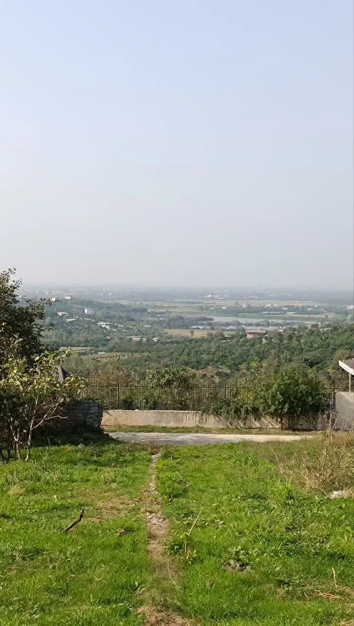 زمین باغ ویودار بزچفت بابلکنار|فروش زمین و ملک کلنگی|بابل, |دیوار