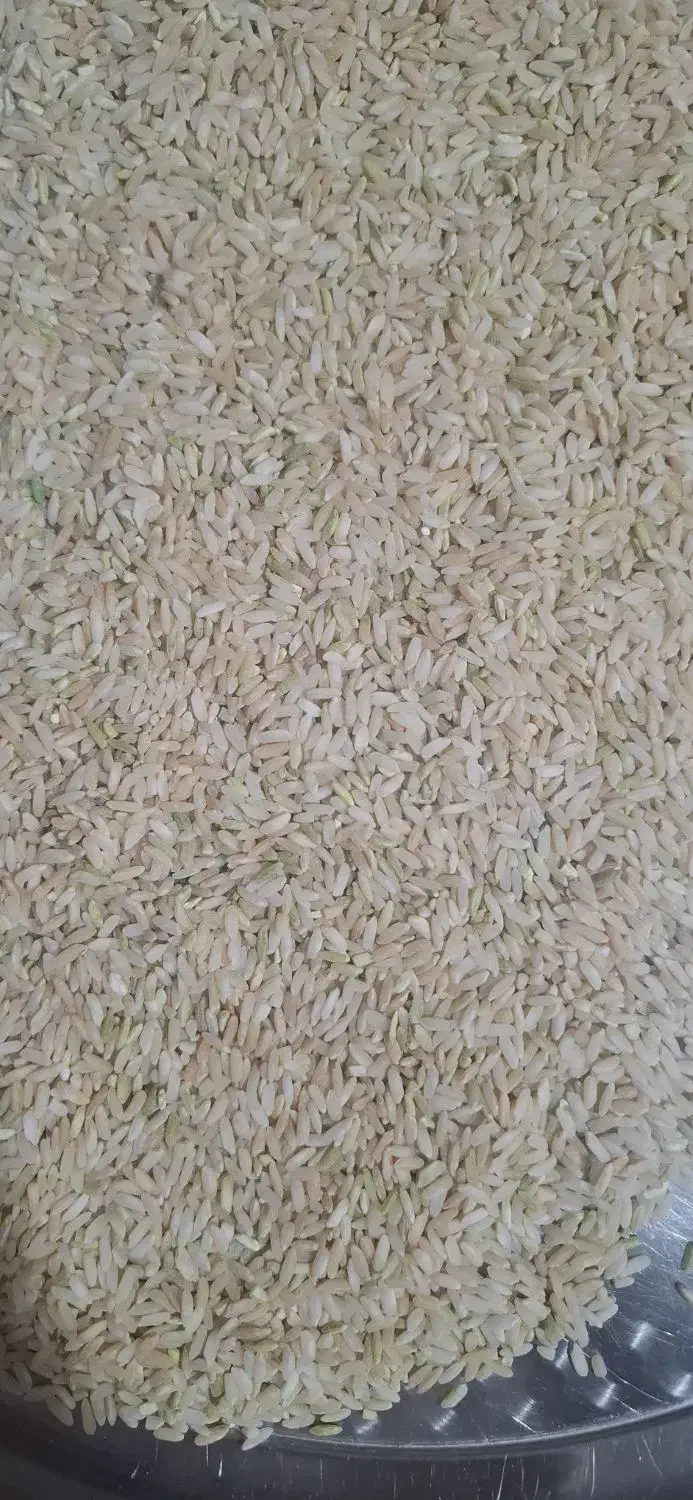 برنج لنجون درجه یک خوشبو خوشطعم و خوشپخت|خوردنی و آشامیدنی|یاسوج, |دیوار