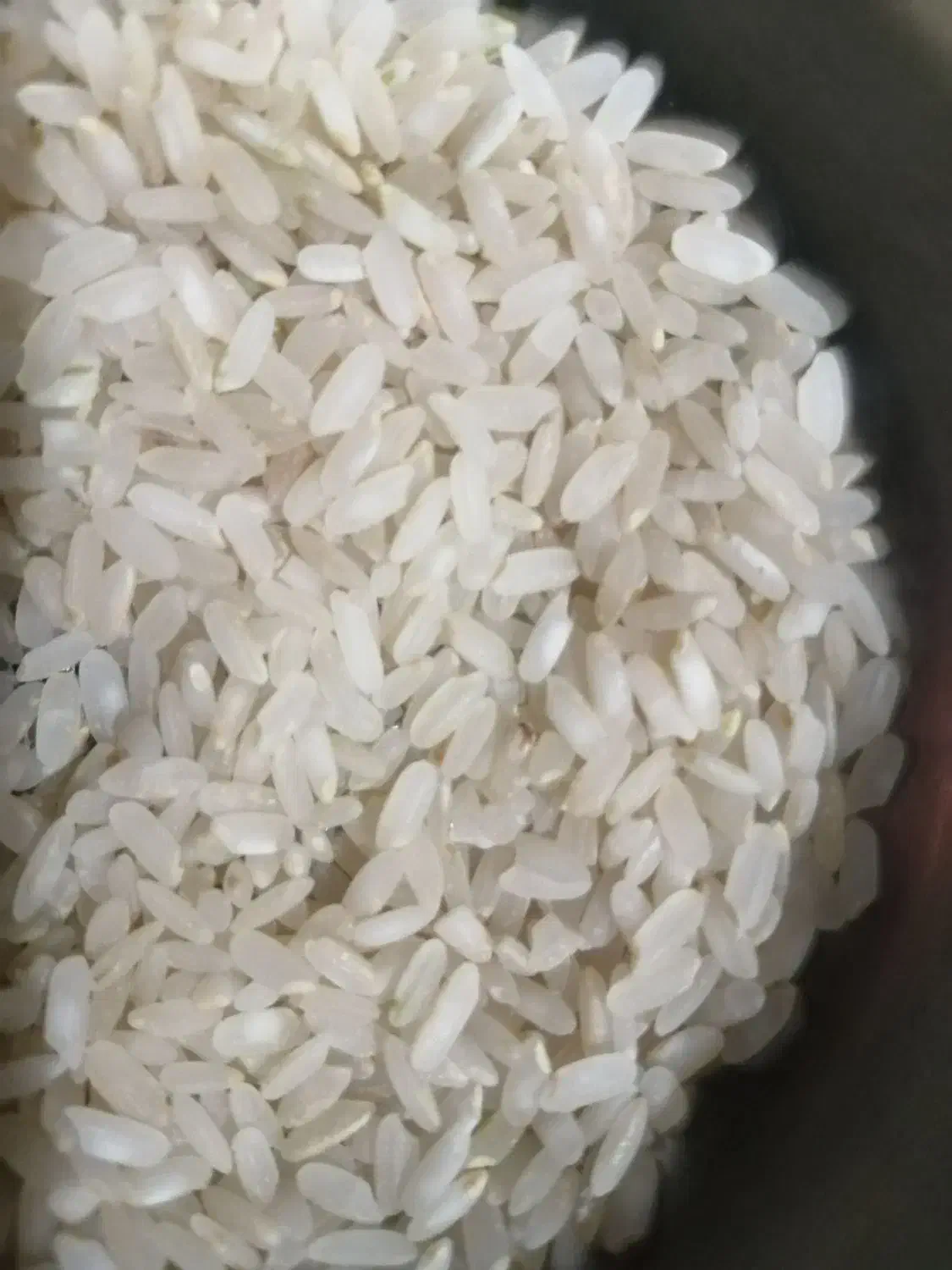 برنج کامفیروز|خوردنی و آشامیدنی|مرودشت, فاز دوم شهرک فرهنگیان|دیوار