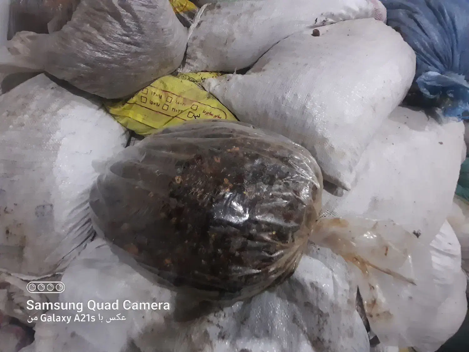 شادگان|خوردنی و آشامیدنی|اهواز, دانشگاه چمران|دیوار