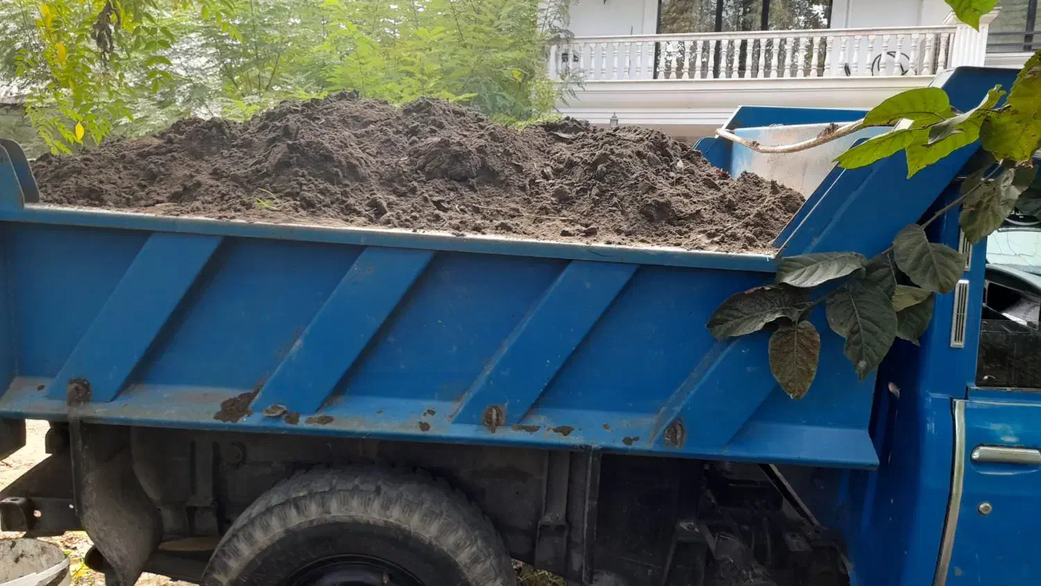 ماسه بادی باغی برای گل و گیاه|خدمات باغبانی و درختکاری|رامسر, |دیوار