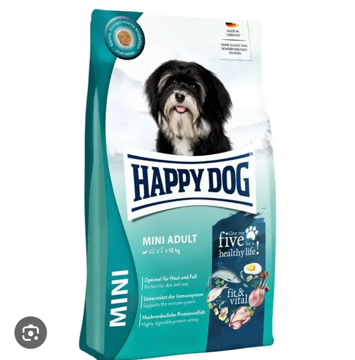 غذا خشک سگ|لوازم جانبی حیوانات|یاسوج, |دیوار