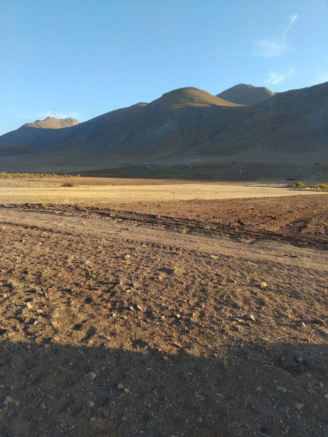 زمین کشاورزی مناسب گلخانه باغ|فروش دفتر صنعتی، کشاورزی، تجاری|داران, |دیوار