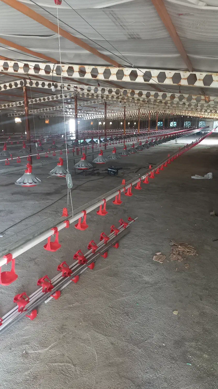 اجرا و مونتاژ کامل سیستم های مرغداری|خدمات پیشه و مهارت|کاشمر, |دیوار