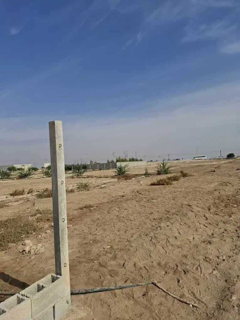 زمین باغی هندیجان|فروش زمین و ملک کلنگی|هندیجان, |دیوار