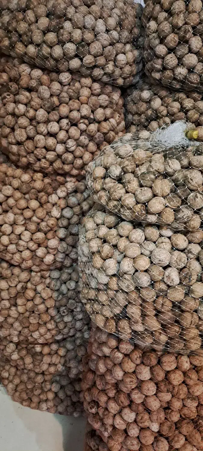 گردو تازه (روغن دار)|خوردنی و آشامیدنی|کرج, شهرک بنفشه|دیوار