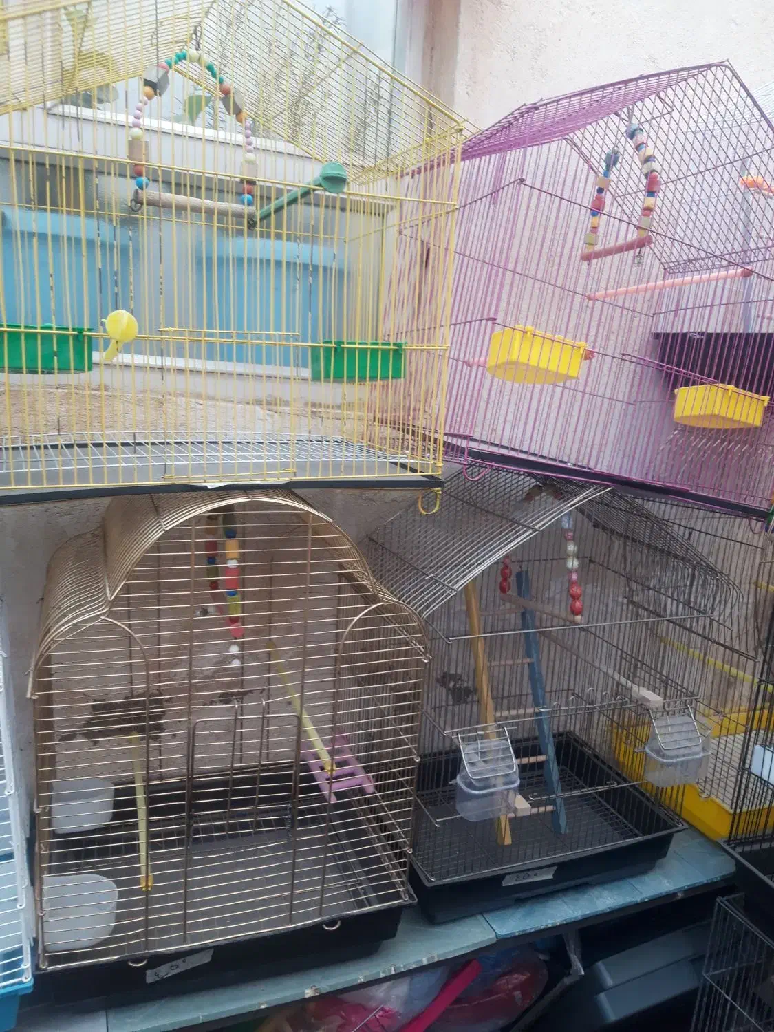 قفس های زینتی برای پرندگان زینتی|لوازم جانبی حیوانات|مرند, |دیوار