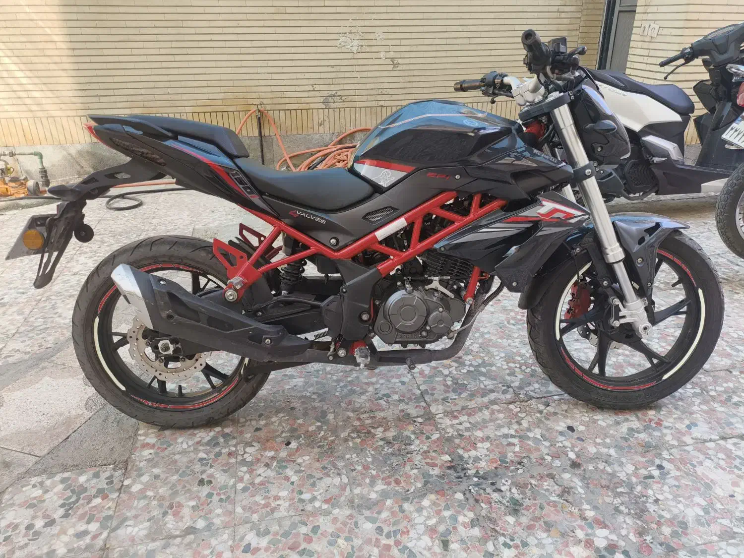 موتور بنلی 150|موتورسیکلت|چابهار, |دیوار