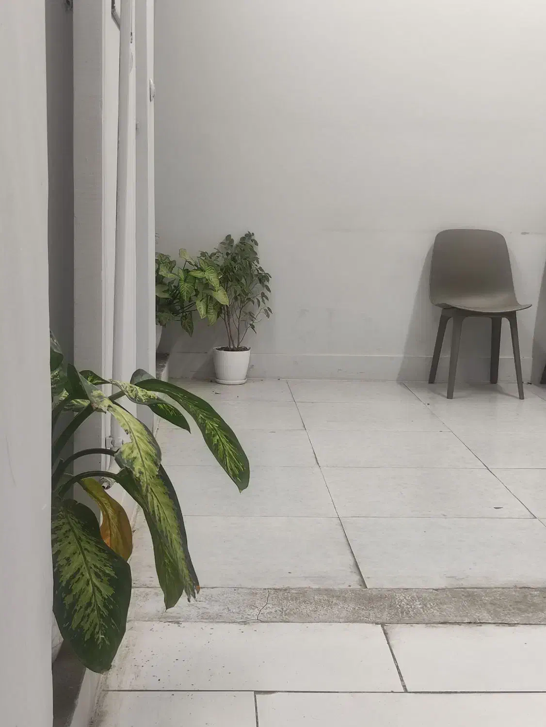 استخدامی|استخدام خدمات فروشگاه و رستوران|بیرجند, |دیوار