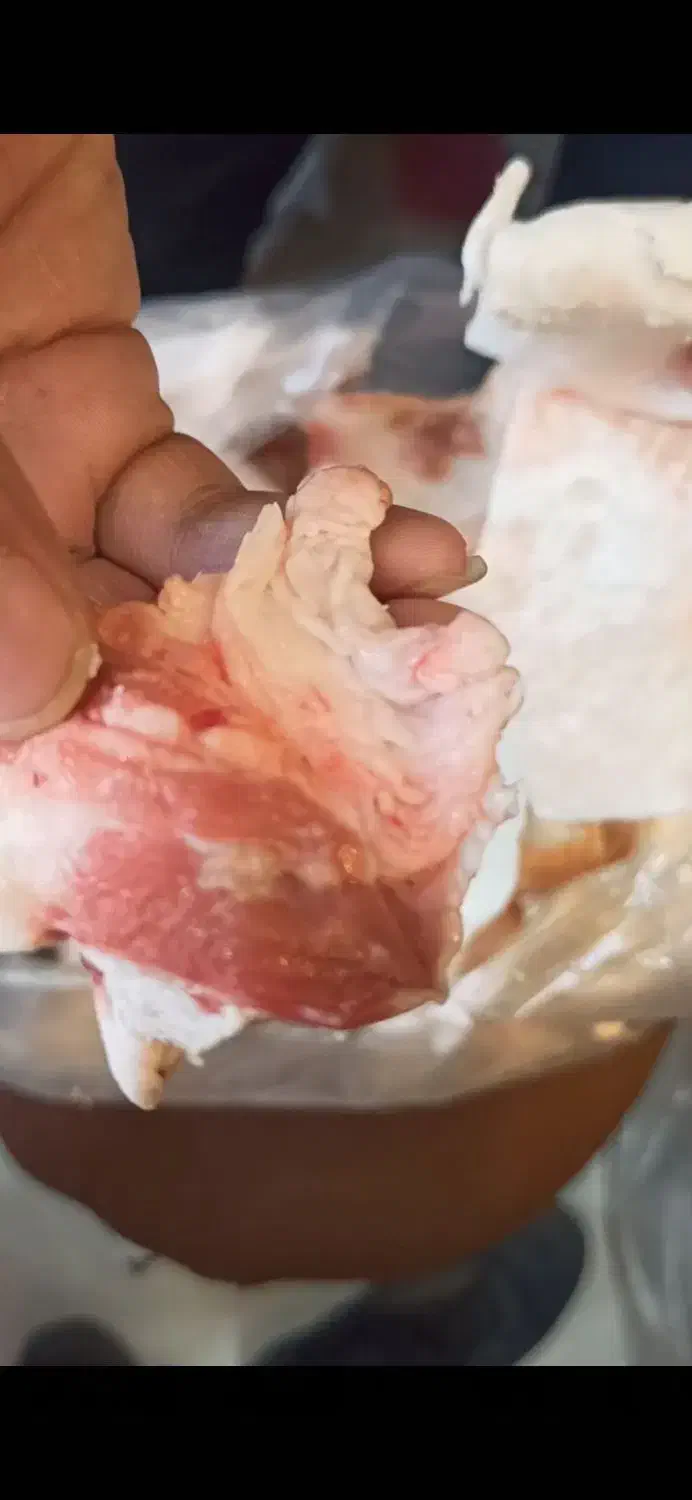 دنبه پشته راسته. پوسته بره|خوردنی و آشامیدنی|خمینی‌شهر, |دیوار