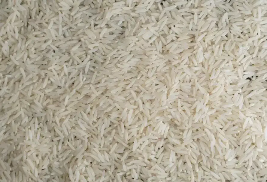 برنج فوق بوجار طارم هاشمی|خوردنی و آشامیدنی|قائم‌شهر, |دیوار