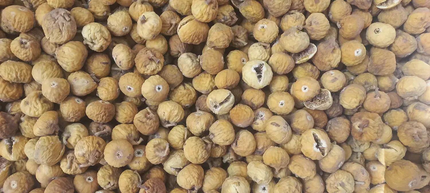 انجیر دیم گاز نخورده استهبان|خوردنی و آشامیدنی|قم, بلوار امین و ساحلی|دیوار