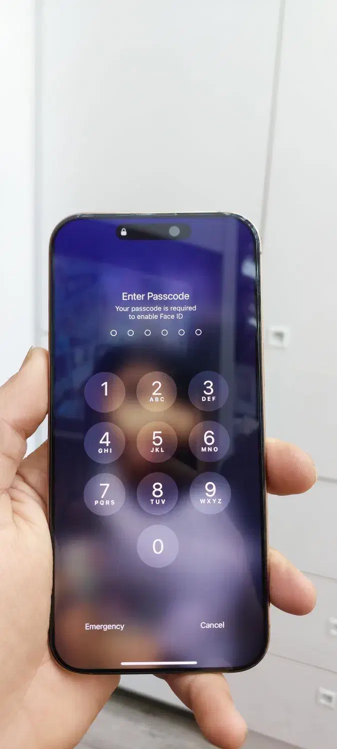 16Promax-256-zaa با رجیستر|موبایل|قم, عربستان|دیوار