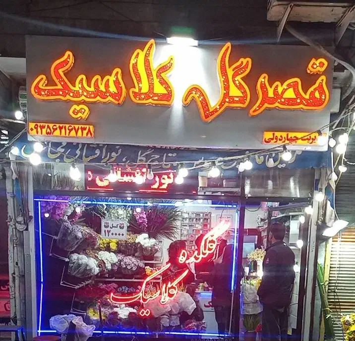 گل داودی ویژه شب یلدا فقط ۷۰هزار تومن|گل و گیاه طبیعی|ملایر, |دیوار