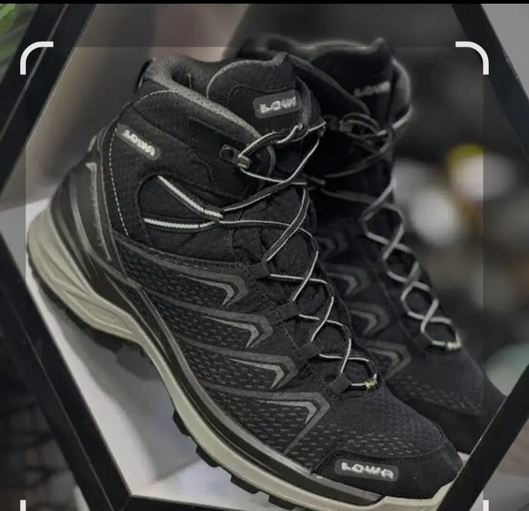 کفش فروشی|کیف، کفش، کمربند|سنندج, |دیوار