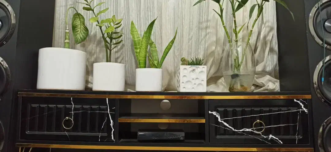 میز تلویزیون|میز تلویزیون|مشهد, محمدآباد|دیوار