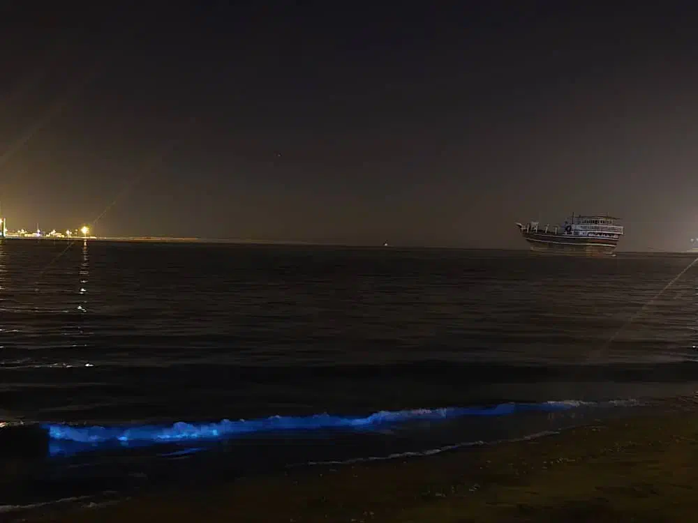 چابهارگردی،تورگردشگری در چابهار زیبا،بکر و دیدنی|تور و چارتر|چابهار, |دیوار