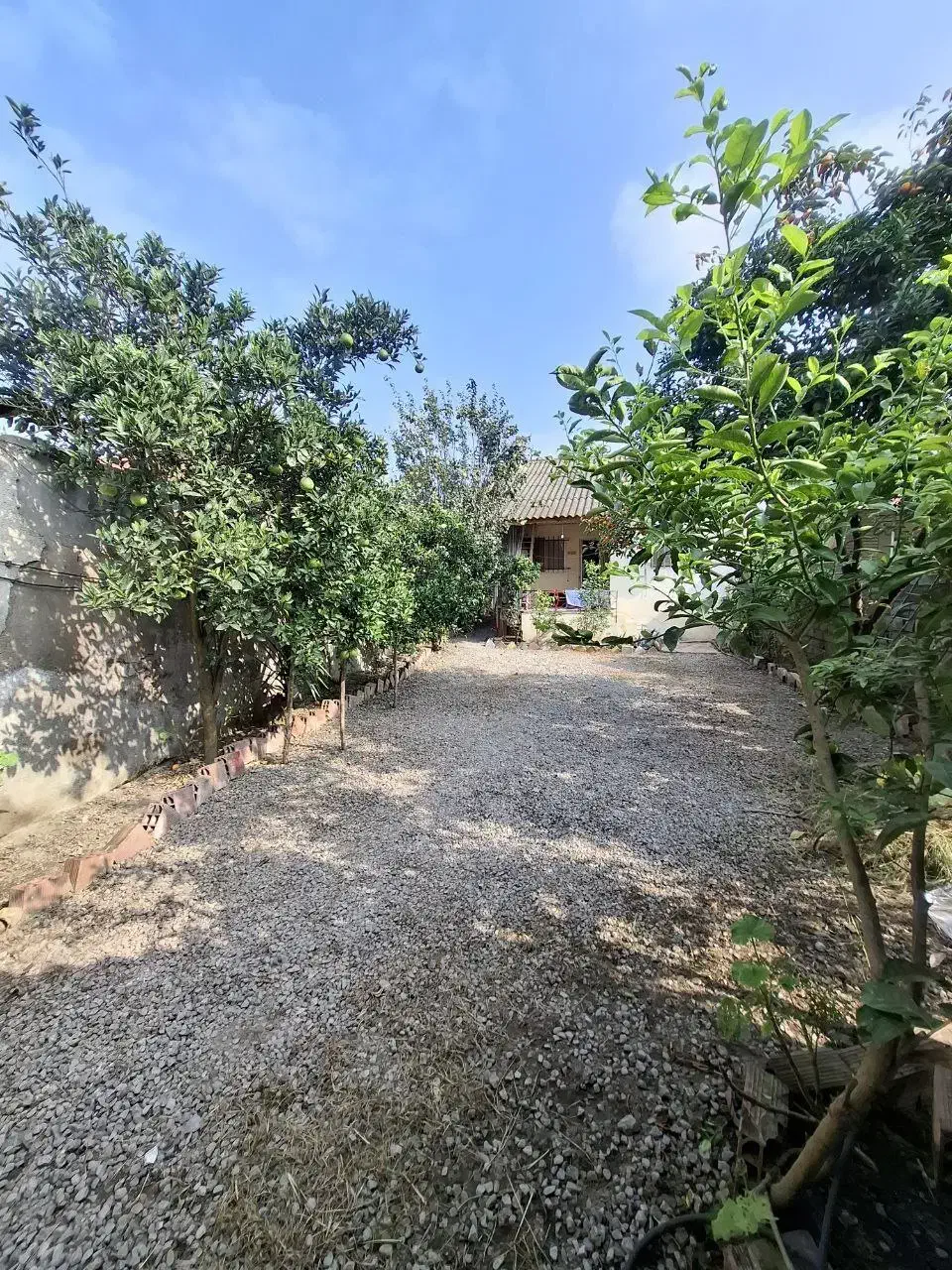 خونه باغ455متری باسندتکبرگ وشاهنشین فریدونکنار|فروش خانه و ویلا|آستانه سرا, |دیوار