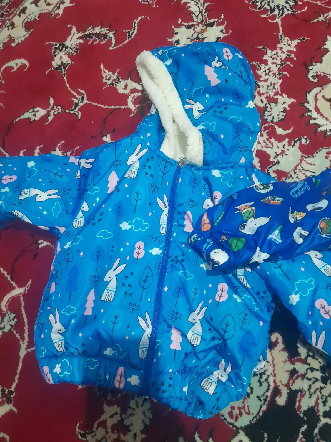 پوشاک|کفش و لباس بچه|خزل, |دیوار