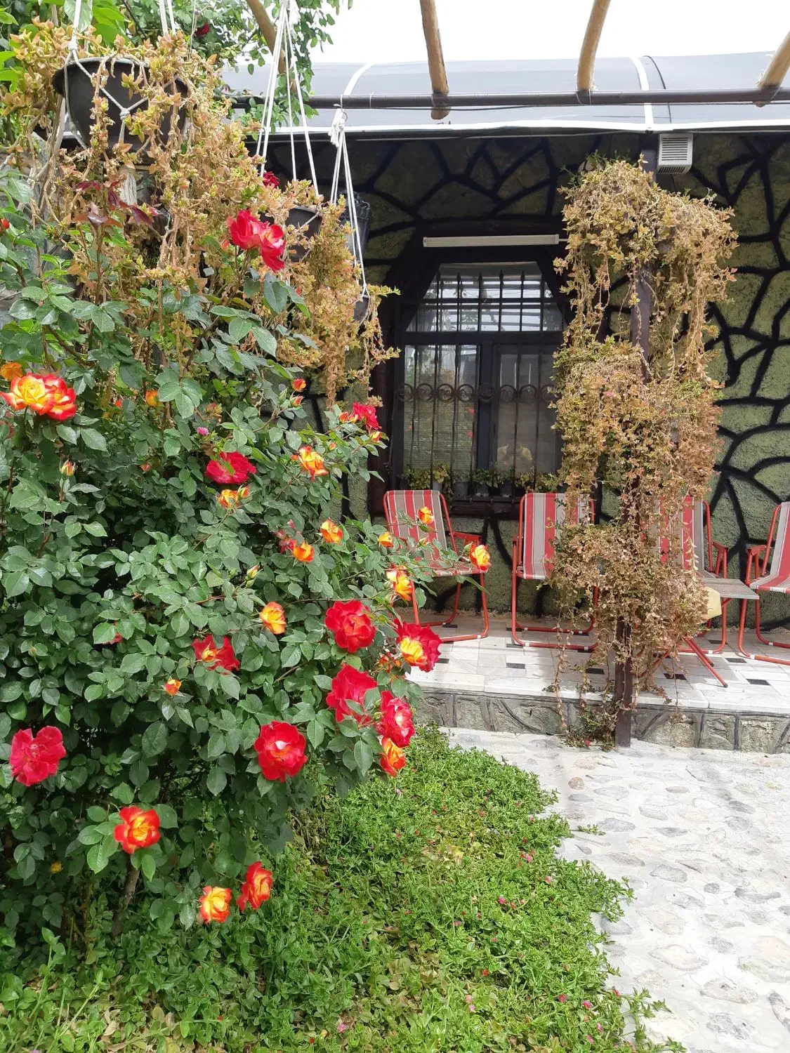 ۱۸۵ متر ویلا روستای اسفید|فروش خانه و ویلا|قاهان, |دیوار