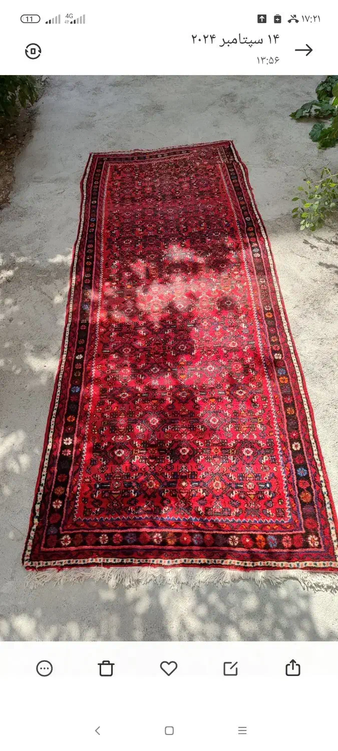 فرش دستباف|فرش|همدان, |دیوار