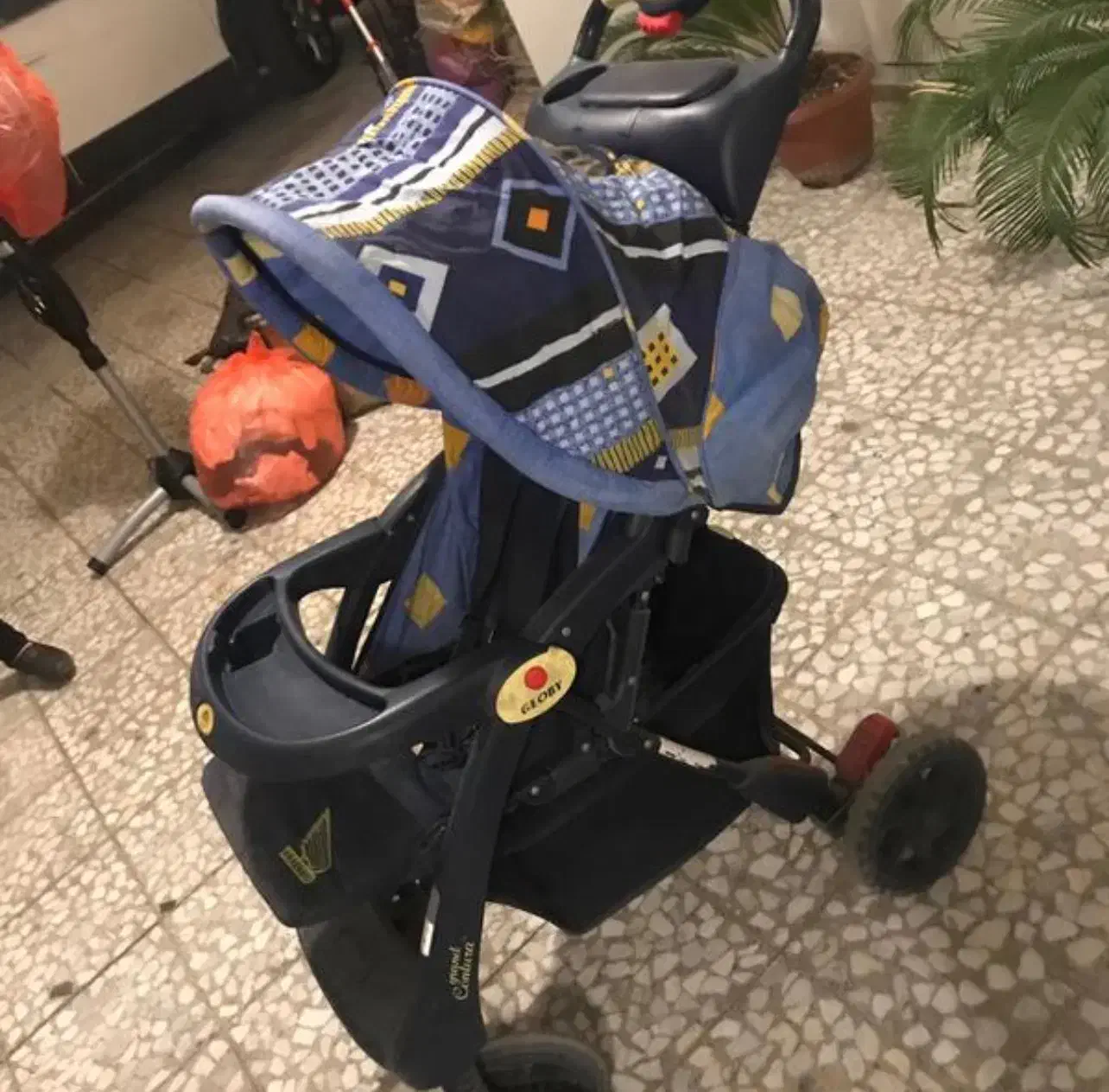 کاسکه|کالسکه و لوازم جانبی|رشت, کاکتوس|دیوار