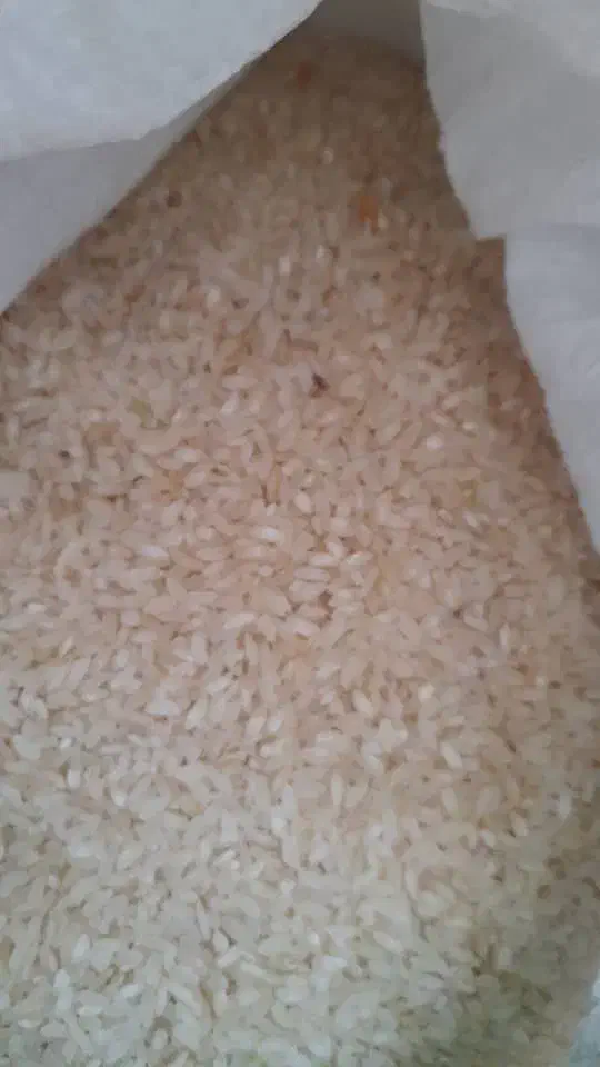 برنج کامفیروزی|خوردنی و آشامیدنی|شیراز, شهرک مدرس|دیوار