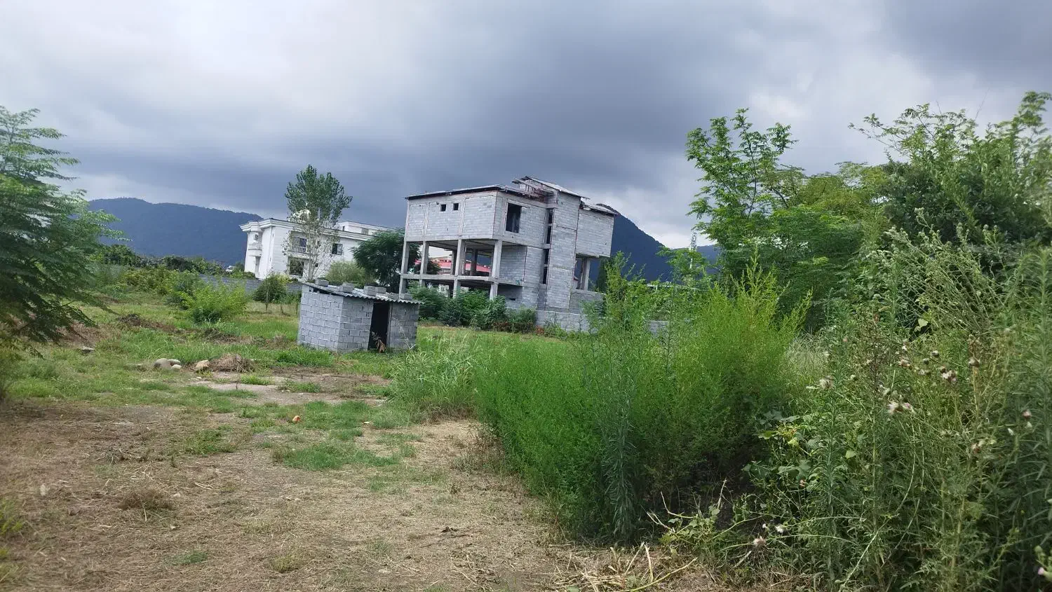 فروش زمین ۳۲۰ متری محدوده چهارصد دستگاه رامسر|فروش زمین و ملک کلنگی|رامسر, |دیوار